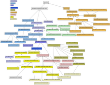 WPF (Winsows Presentation Foundation) Class Hierarchy